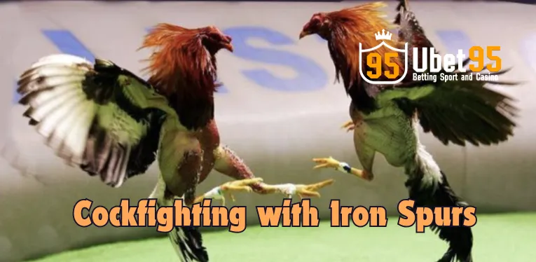 Cockfighting with Iron Spurs – A Dramatic Entertainment for Bettors