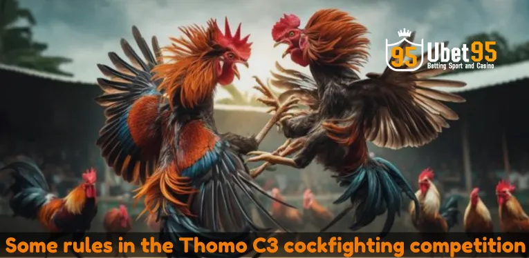 Some rules in the Thomo C3 cockfighting competition