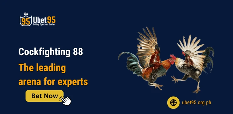 Cockfighting 88 – The leading arena for experts